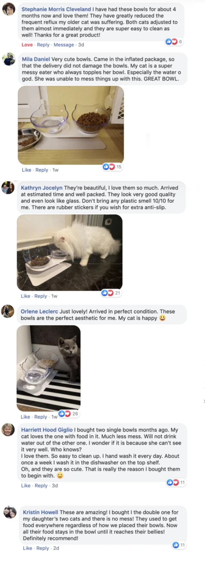 PurrBowl No-Vomit Feeder