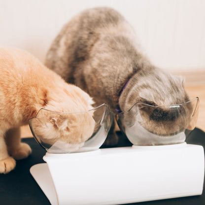 PurrBowl No-Vomit Feeder