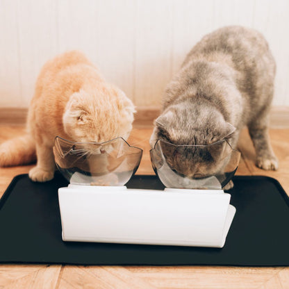 PurrBowl No-Vomit Feeder