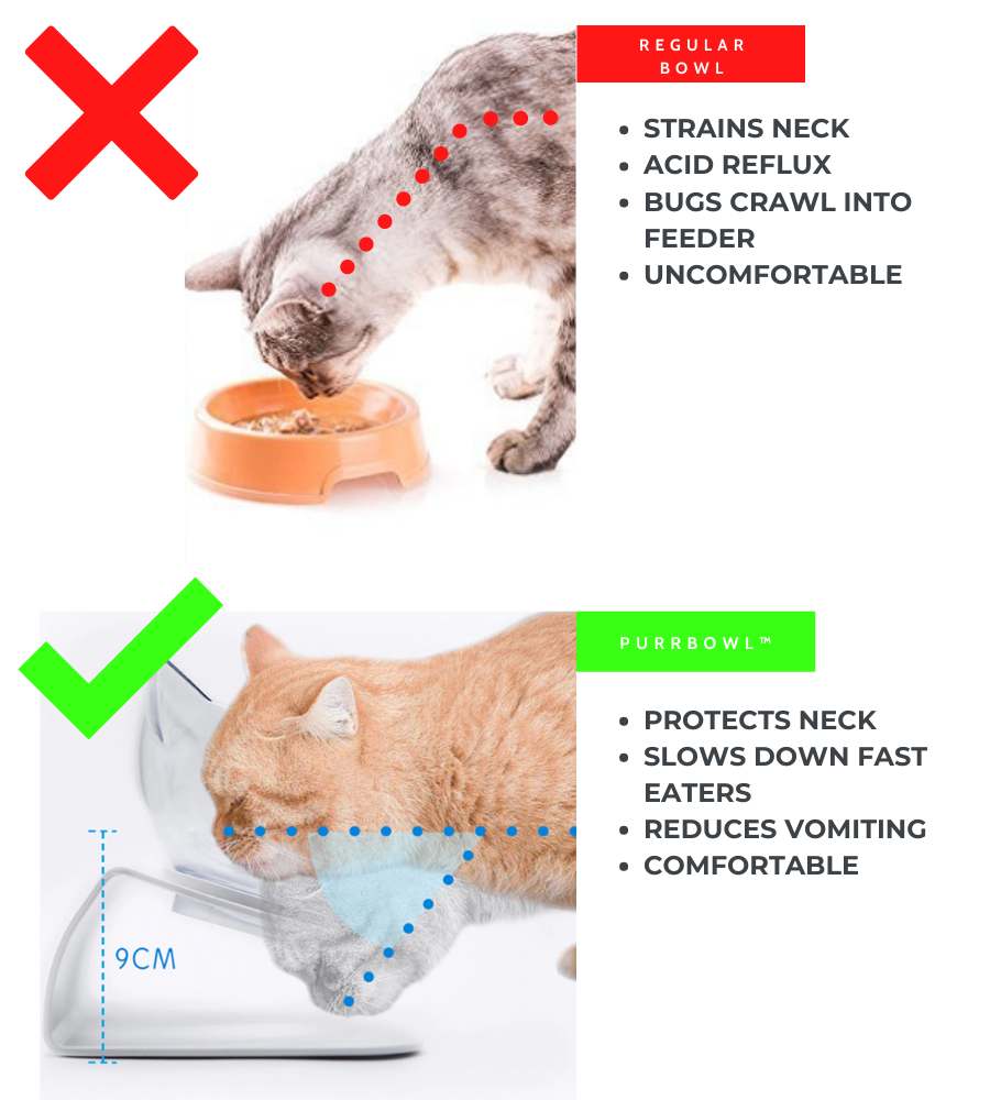 PurrBowl No-Vomit Feeder